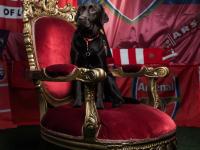 开云体育官方网站-阿森纳轻松取胜，继续前进赛季征程