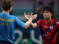 开云体育app-关于日本队完胜葡萄牙队，张本智和关键制胜的信息