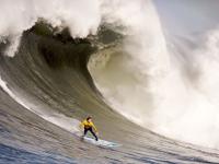 开云足球直播-当约基奇降临CBA，吉林队奇兵统治全场，北京队防线溃不成军