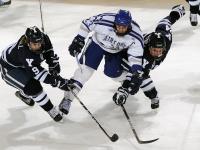 开云体育-当单节成为永恒，葡萄牙的闪电与三笘薰的孤勇
