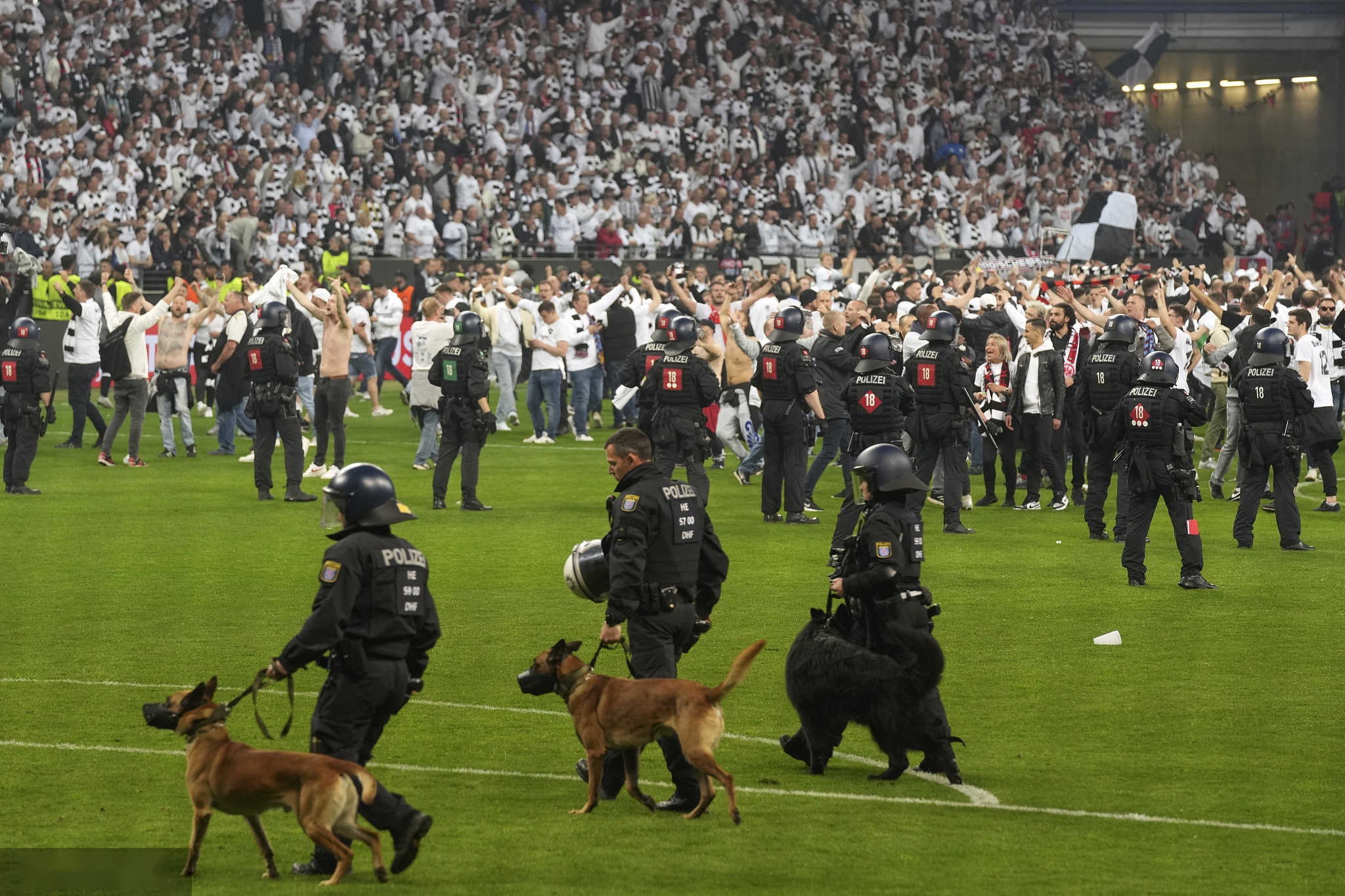 关于法兰克福球迷积极早早赛季，期待好成绩的信息