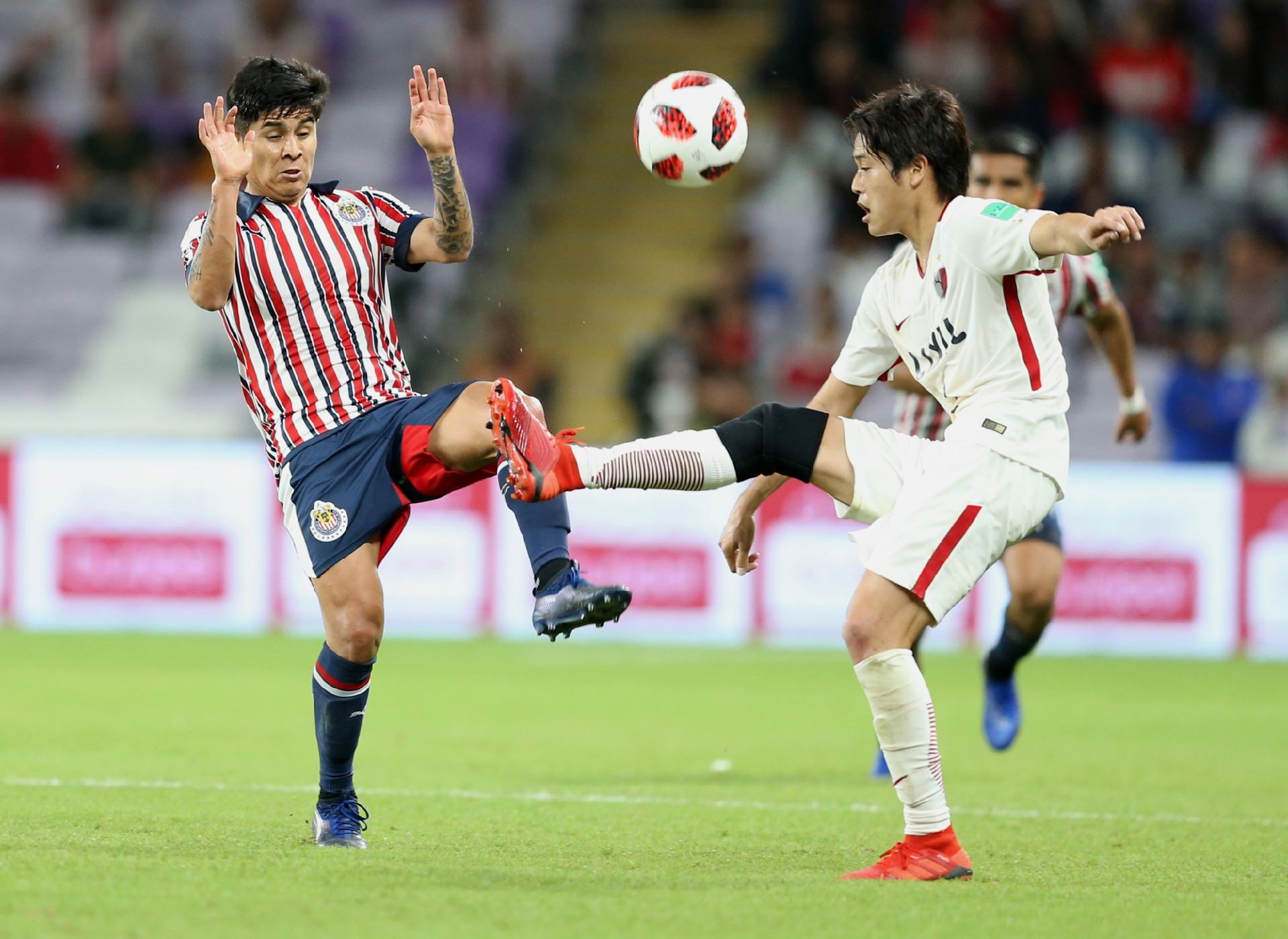 鹿岛鹿角轻松过关,展现出色表现的简单介绍 鹿岛鹿角轻松过关,展现出色表现的简单介绍