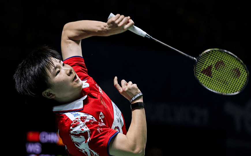 中国羽毛球队完胜马来西亚羽毛球队，陶菲克惊艳世界的简单介绍
